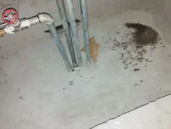 扎赉特旗卫生间测漏水价格明细